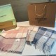 Replica Alta gamma Sciarpa Burberry Check Classical cashmere grigio/blu 30 x 168 Imitazioni Replica Alta gamma Sciarpa Burberry Check Classical cashmere grigio/blu 30 x 168