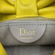 Replica Borse a tracolla Dior Bow piccola/media con finitura oro Giallo Imitazioni Replica Borse a tracolla Dior Bow piccola/media con finitura oro Giallo