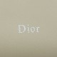 Replica borse griffate a tracolla Dior Bow piccola/media Acciaio inossidabile Beige chiaro
