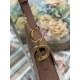 Replica Borse Dior Saddle pelle di vitello liscia marrone Imitazioni Replica Borse Dior Saddle pelle di vitello liscia marrone