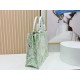 Replica Borsa Dior Book Tote piccolo/media/grande con tracolla ricamo Toile de Jouy multicolore verde