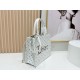 Replica Borse Dior Dioramour piccolo/media/grande Dior Book Tote con tracolla bianca