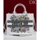 Replica Dior Fortunato Media Dior Book Tote Dior Bianco Imitazioni Replica Dior Fortunato Media Dior Book Tote Dior Bianco