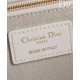 Replica Dior Fortunato Media Dior Book Tote Dior Bianco Imitazioni Replica Dior Fortunato Media Dior Book Tote Dior Bianco