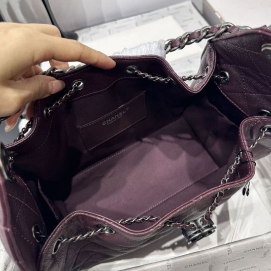 Cloni Borsa Chanel 25S Hobo AS5293 pelle di vitello grana viola firmate