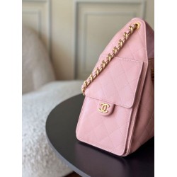 Borse a mano Chanel 25 piccola Hobo AS5293 Rosa Borse a mano Chanel 25 piccola Hobo AS5293 Rosa