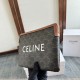 Replica di lusso Piccola pochette Celine con tracolla tela Triomphe Imitazioni Cloni Piccola pochette Celine con tracolla tela Triomphe firmate