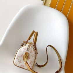 Cloni Borsa Louis Vuitton Speedy Bandoulière 20 M27951 Gialla firmate