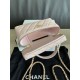 Replica di lusso Borsa Chanel Classic Vanity con catena A96186 Rosa Imitazioni Cloni Borsa Chanel Classic Vanity con catena A96186 Rosa firmate