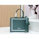 Replica di lusso Borsa da uomo Dior Book Tote Piccola/Media/Grande con ricamo obliquo e tracolla Verde Imitazioni Cloni Borsa da uomo Dior Book Tote Piccola/Media/Grande con ricamo obliquo e tracolla Verde firmate