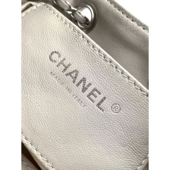 Cloni Borse Chanel 25 Mini Hobo AS5631 pelle di vitello scamosciata Grigio firmate