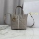 Replica di lusso Borse tote verticale Dior Toujours piccola Grigia Imitazioni Replica Borse tote verticale Dior Toujours piccola Grigia firmate