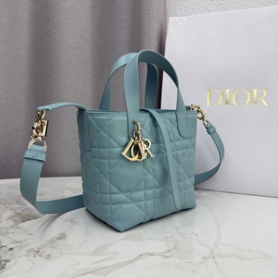 Replica di lusso Borsa tote verticale Dior Toujours piccola Blu Imitazioni Cloni Borsa tote verticale Dior Toujours piccola Blu firmate