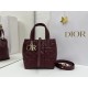 Replica di lusso Borsa Tote verticale piccolo Dior Toujours Borgogna Imitazioni Cloni Borsa Tote verticale piccolo Dior Toujours Borgogna firmate