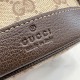Cloni Borsa a secchiello Gucci 876060 con tracolla marrone firmate