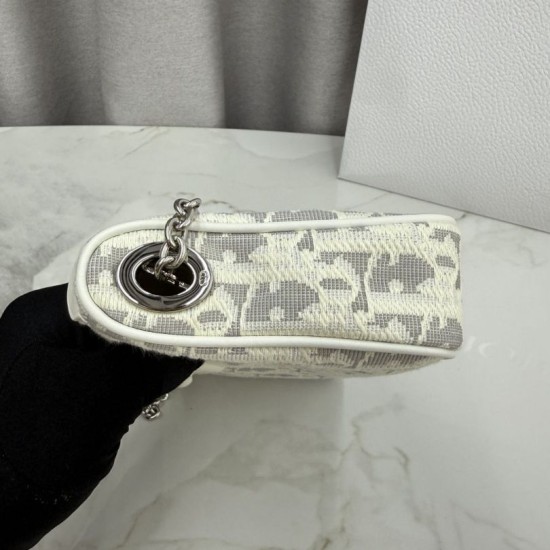 Cloni Pochette Dior Oblique Bow Chain S2504 beige/grigio firmate