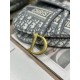 Replica di lusso Borsa 1:1 a tracolla Dior Saddle Oblique ricamata grigia Imitazioni Cloni Borsa Replica a tracolla Dior Saddle Oblique ricamata grigia firmate