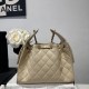Cloni Borsa a secchiello Chanel Hobo con coulisse AS5293 Beige firmate