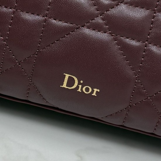 Replica Pochette Dior Travel Nomad S2613 Borgogna Imitazioni Replica perfette Pochette Dior Travel Nomad S2613 Borgogna