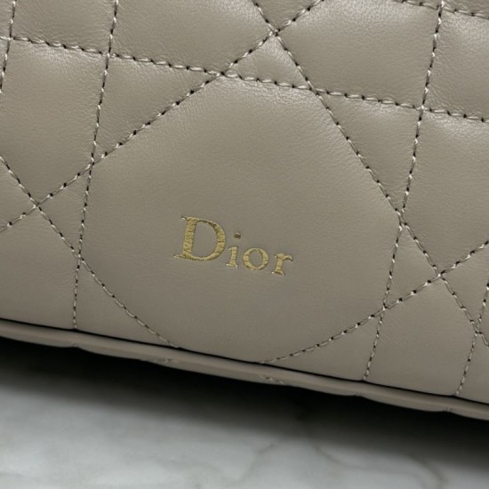 Replica Pochette Dior Travel Nomad S2613 albicocca Imitazioni Replica perfette Pochette Dior Travel Nomad S2613 albicocca