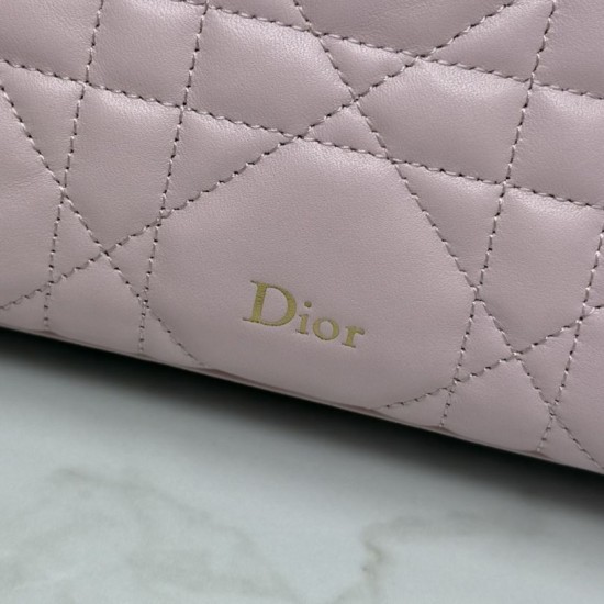 Replica Pochette Dior Travel Nomad S2613 Rosa Imitazioni Replica perfette Pochette Dior Travel Nomad S2613 Rosa