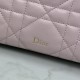 Replica Pochette Dior Travel Nomad S2613 Rosa Imitazioni Replica perfette Pochette Dior Travel Nomad S2613 Rosa