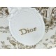 Replica di alta qualità Borsa Dior Dioriviera Book Tote piccola/media/grande con ricamo floreale Marrone Replica Perfetta Borsa Dior Dioriviera Book Tote piccola/media/grande con ricamo floreale Marrone