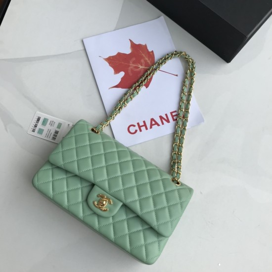 Replica Borsa classica con patta A1112 Hardware argento verde chiaro Griffate