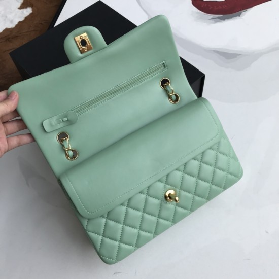 Replica Borsa classica con patta A1112 Hardware argento verde chiaro Griffate