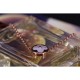 Riproduzione Fedele Alta gamma replica Color Blossom Sun Pendant Q93520 imitazioni Replica Alta Qualità Alta gamma Color Blossom Sun Pendant Q93520