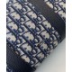 Borse Christian Dior Lingot 26 blu scuro Borse Christian Dior Lingot 26 blu scuro