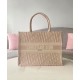 Christian Dior Borsa piccola Dior Book Tote rosa Christian Dior Borsa piccola Dior Book Tote rosa