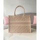 Christian Dior Borsa piccola Dior Book Tote rosa Christian Dior Borsa piccola Dior Book Tote rosa