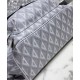 Replica Zaino Christian Dior Hit The Road Grigio imitazioni Miglior Prezzo Zaino Christian Dior Hit The Road Grigio Replica