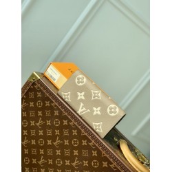 Portafoglio Louis Vuitton Emilie Monogramma bicolore M82341