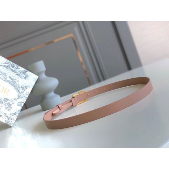 Replica Borsa Cintura Dior Saddle 20MM Pelle di vitello Nude imitazioni Miglior Prezzo replica Cintura Dior Saddle 20MM Pelle di vitello Nude