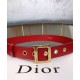 Cintura Christian Dior da donna in pelle di vitello Diorquake rossa Dupe Perfetta Cloni Firmate Cintura Christian Dior da donna in pelle di vitello Diorquake rossa imitazioni