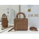 Replica Borse Dior Mini Lady Dior Arco con ciondoli D.I.O.R Rosa cipria Imitazioni Replica Borse Dior Mini Lady Dior Arco con ciondoli D.I.O.R Rosa cipria