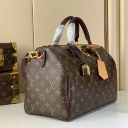 Replica LV M28379 Borsa Speedy Soft 30 Celebration Imitazioni Replica LV M28379 Borsa Speedy Soft 30 Celebration
