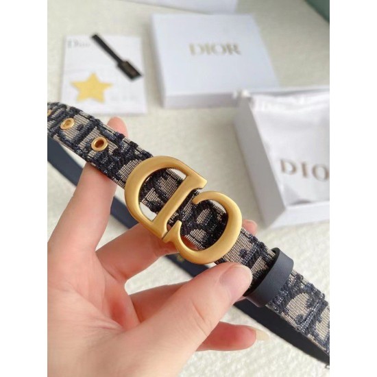 Riproduzione Fedele Dior Saddle 20MM Cintura Dior Oblique Jacquard Blu imitazioni