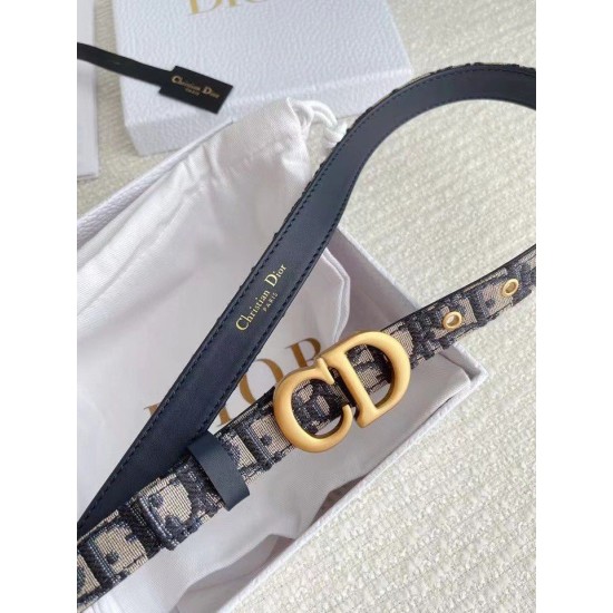 Riproduzione Fedele Dior Saddle 20MM Cintura Dior Oblique Jacquard Blu imitazioni