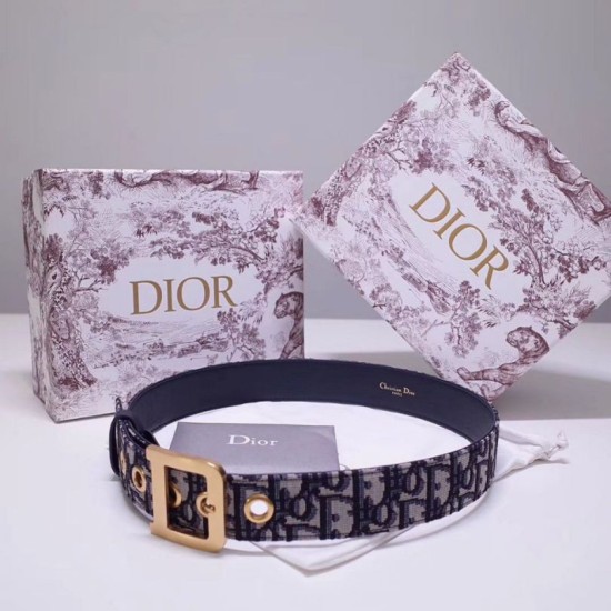 Replica Borsa Dior Diorquake 35MM Cintura Obliquo Blu Riproduzione Fedele replica Dior Diorquake 35MM Cintura Obliquo Blu imitazioni