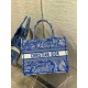 Riproduzione Fedele Dior Book Tote Bag Media Ricamo Toile de Jouy Reverse Blu imitazioni