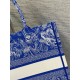 Riproduzione Fedele Dior Book Tote Bag Media Ricamo Toile de Jouy Reverse Blu imitazioni