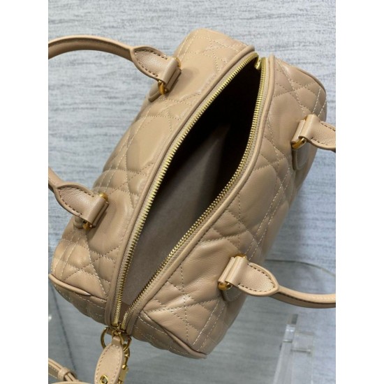 Riproduzione Fedele Borsa Dior Groove 25 in pelle di vitello Macrocannage biscotto imitazioni