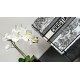 Replica Dior Medium Dior Book Tote Bag Ricamo Toile de Jouy Motivo Scozia Bianco/Nero Riproduzione Fedele Dior Medium Dior Book Tote Bag Ricamo Toile de Jouy Motivo Scozia Bianco/Nero imitazioni