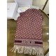 Replica Dior Oblique Sciarpa Cashmere Borgogna Riproduzione Fedele Dior Oblique Sciarpa Cashmere Borgogna imitazioni