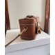 Replica Celine Vanity Bag Pelle di vitello naturale Caffè Riproduzione Fedele Celine Vanity Bag Pelle di vitello naturale Caffè imitazioni