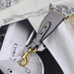 Replica falso Dior Tracolla Obliquo Grigio Riproduzione Fedele falso Dior Tracolla Obliquo Grigio imitazioni
