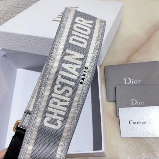 Replica falso Christian Dior Tracolla Grigio Riproduzione Fedele falso Christian Dior Tracolla Grigio imitazioni